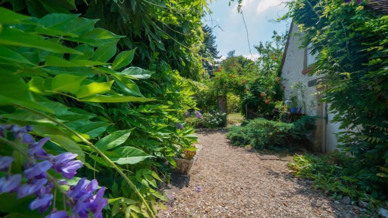 Photo of Outdoor in Saint-Denis-sur-Loire