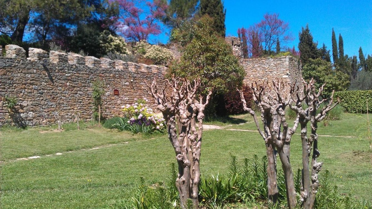 Photo of Outdoor in Agel