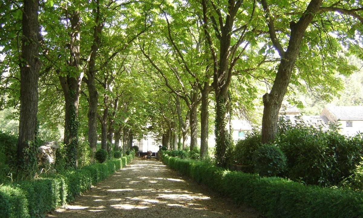 Photo of Outdoor in Agel