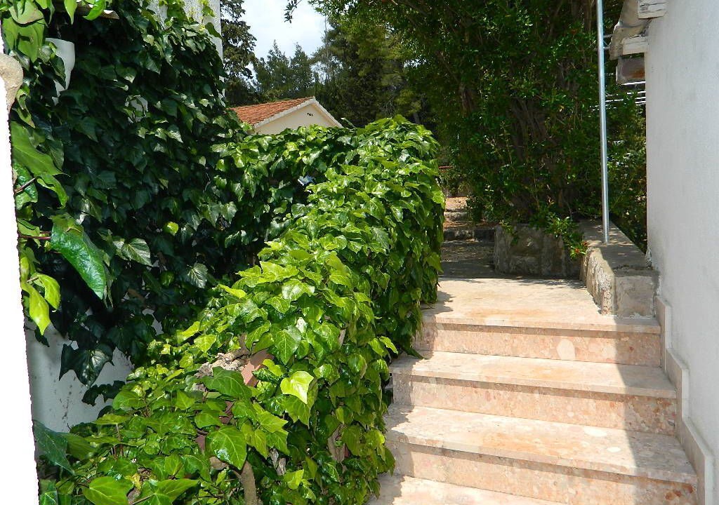 Photo of Others in Vrboska