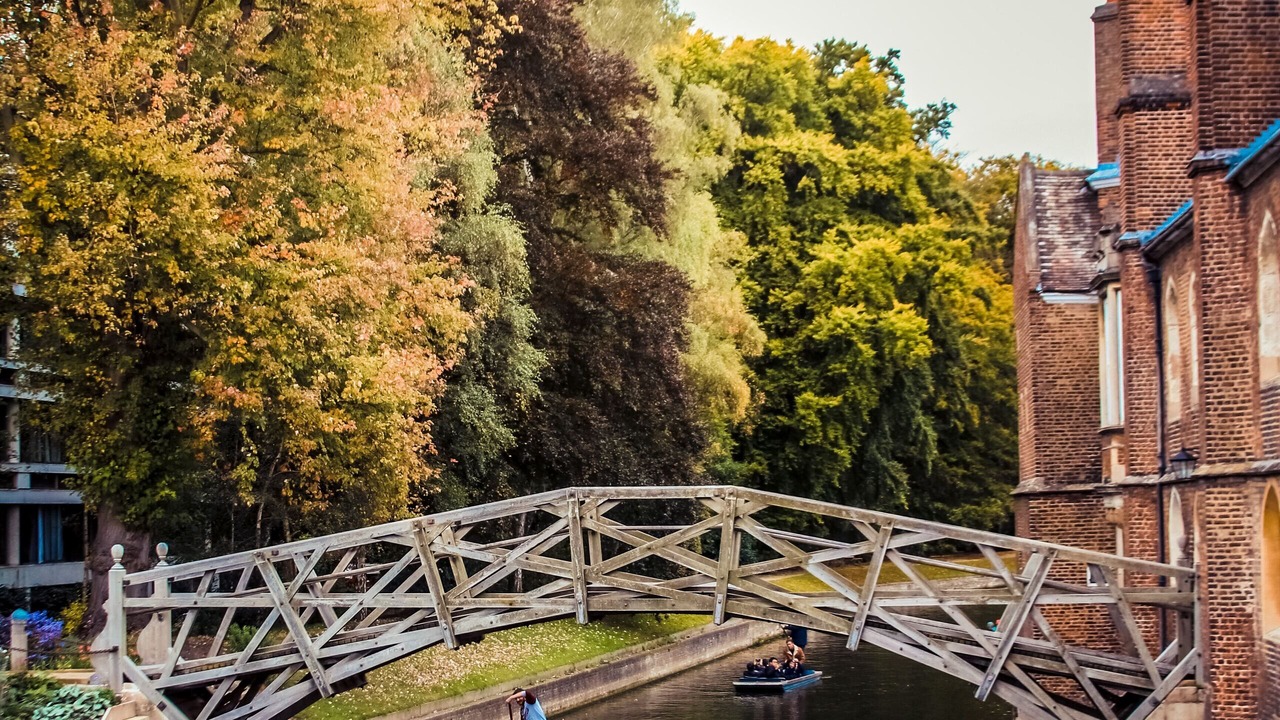 Photo of Others in Mill Road