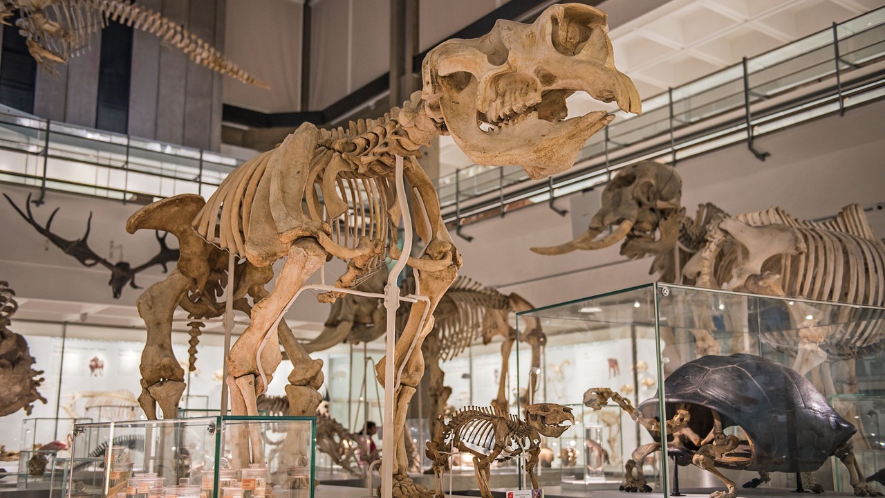 Photo of Others in Mill Road