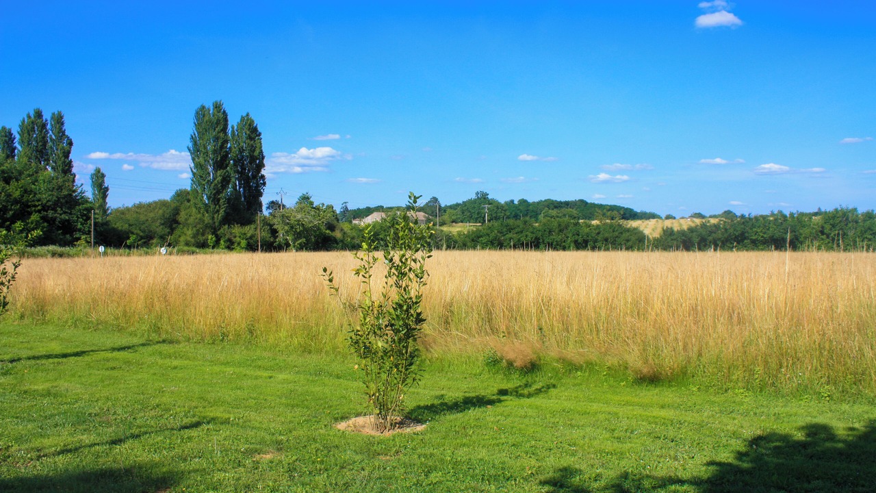 Photo of Others in Baron