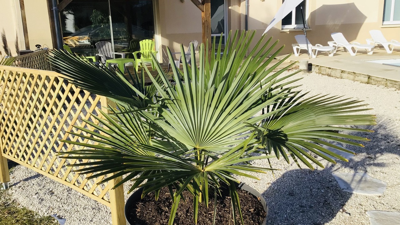 Photo of Patio Balcony in Gignac