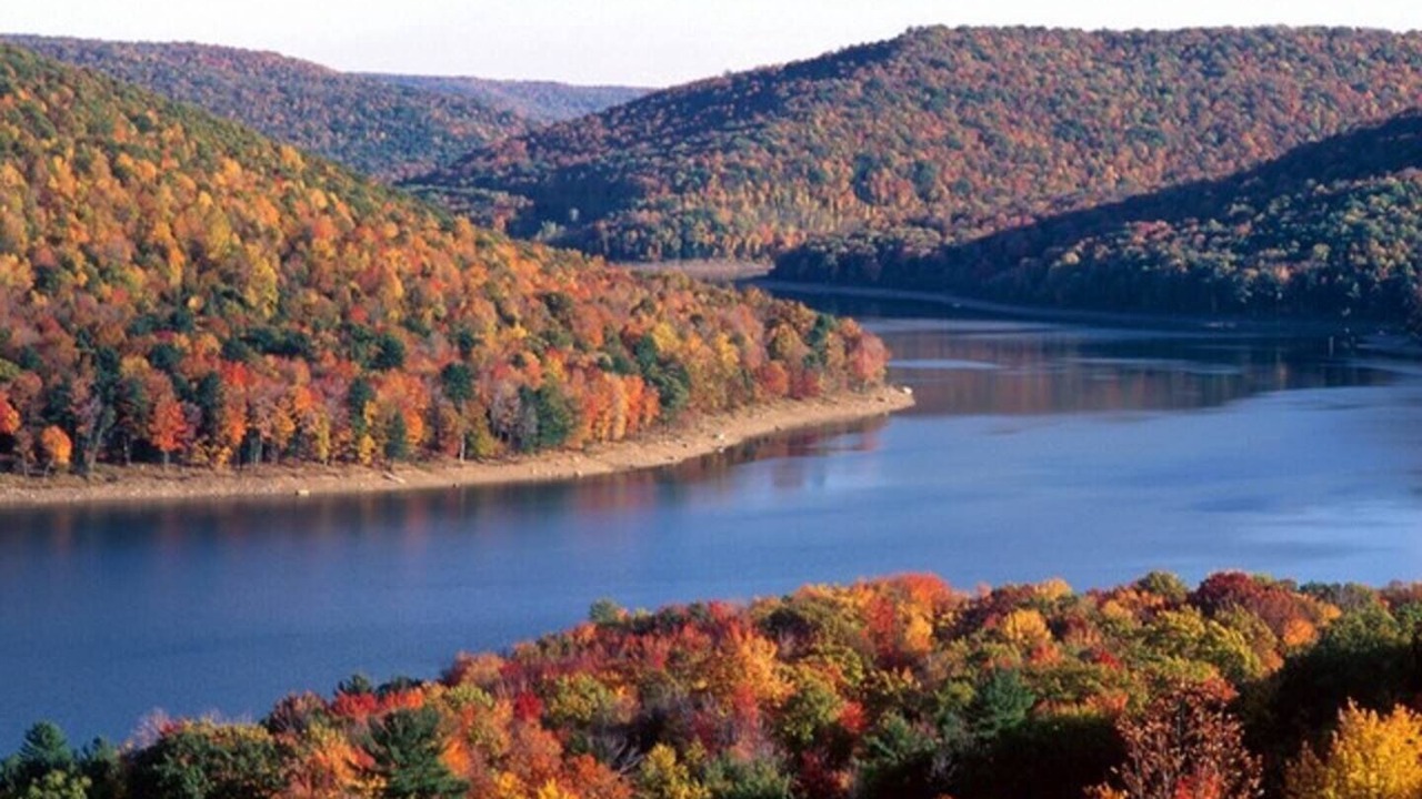 Photo of Others in Lake Ariel