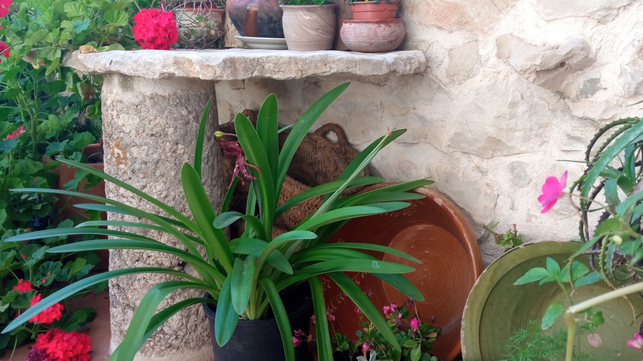 Photo of Outdoor in Tarbena