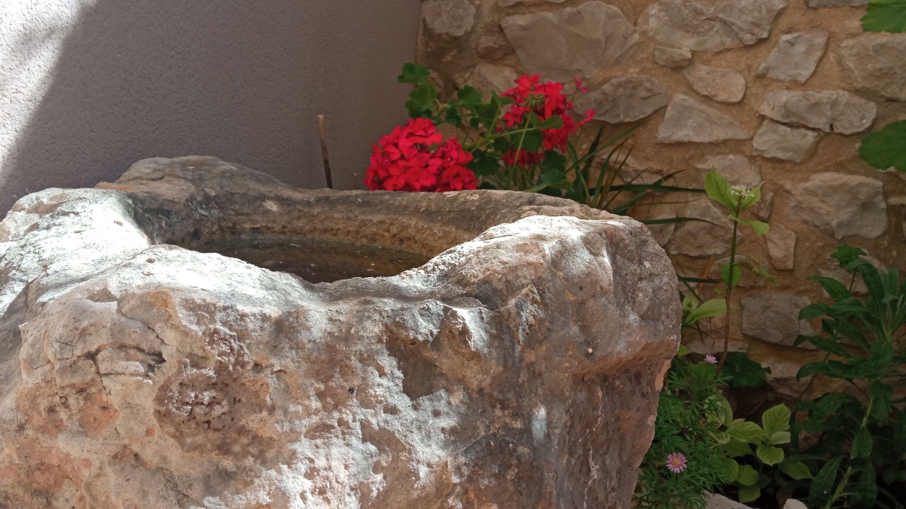 Photo of Outdoor in Tarbena