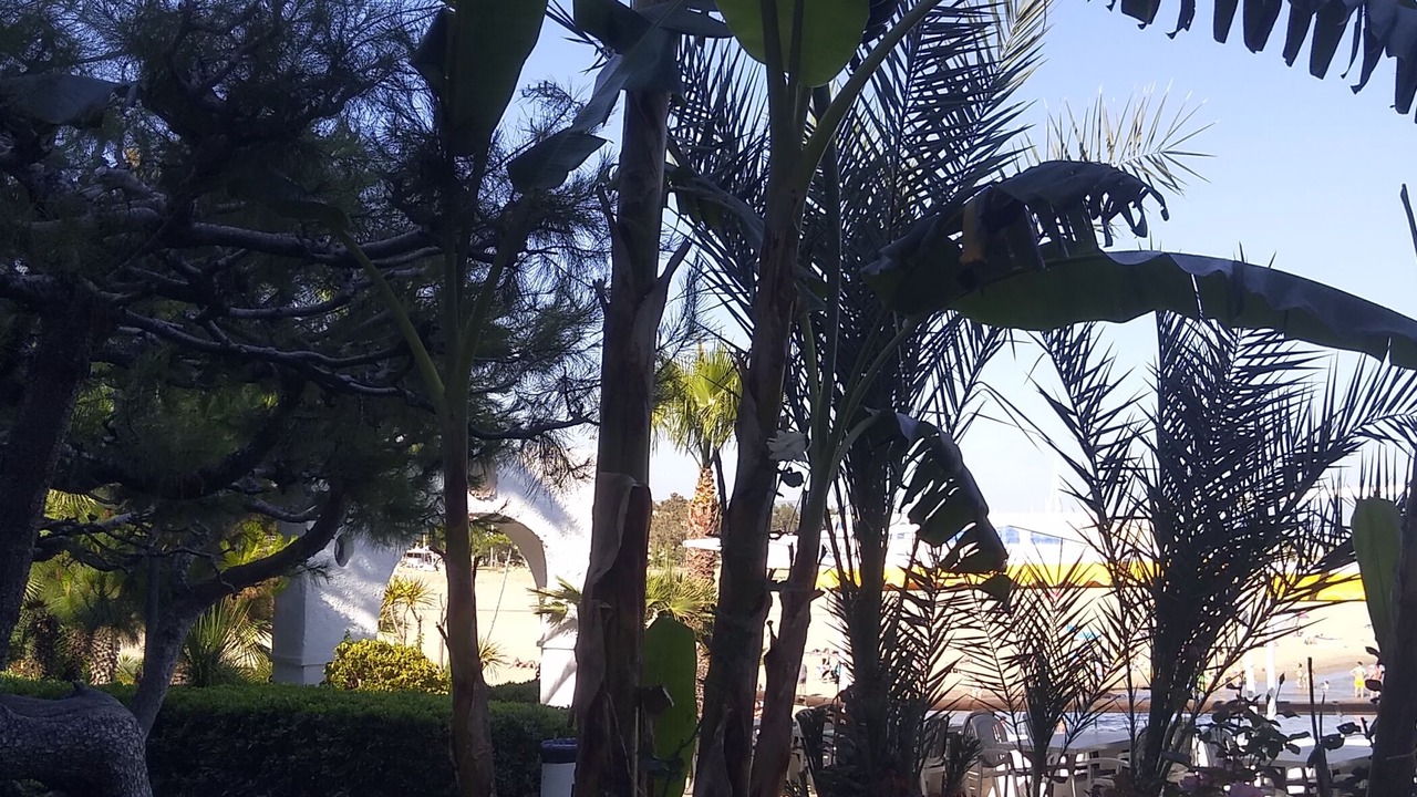 Photo of Outdoor in El Roc de Sant Gaieta
