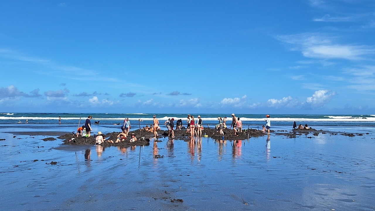 Photo of Others in Kawhia