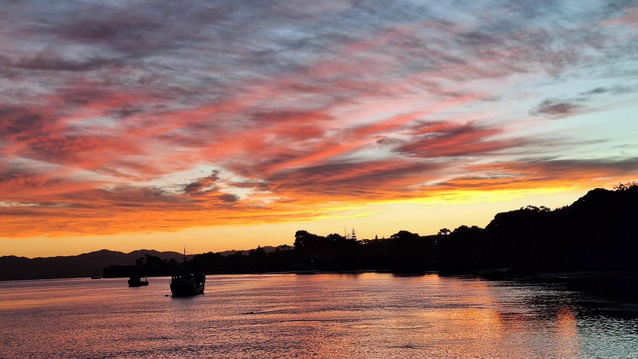 Photo of Others in Kawhia