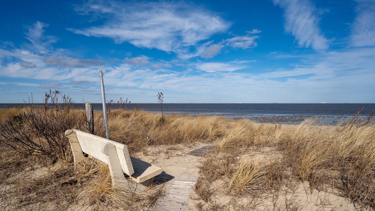 Photo of Others in Prime Hook Beach