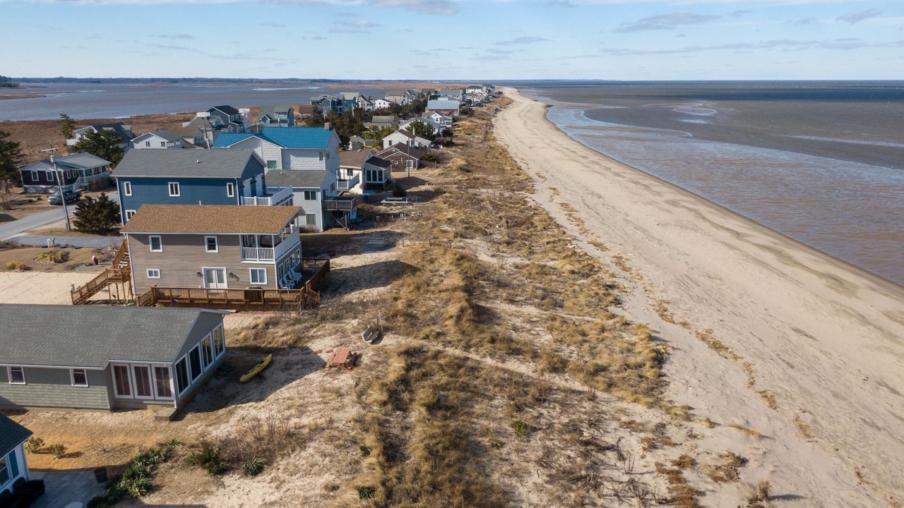 Photo of Others in Prime Hook Beach