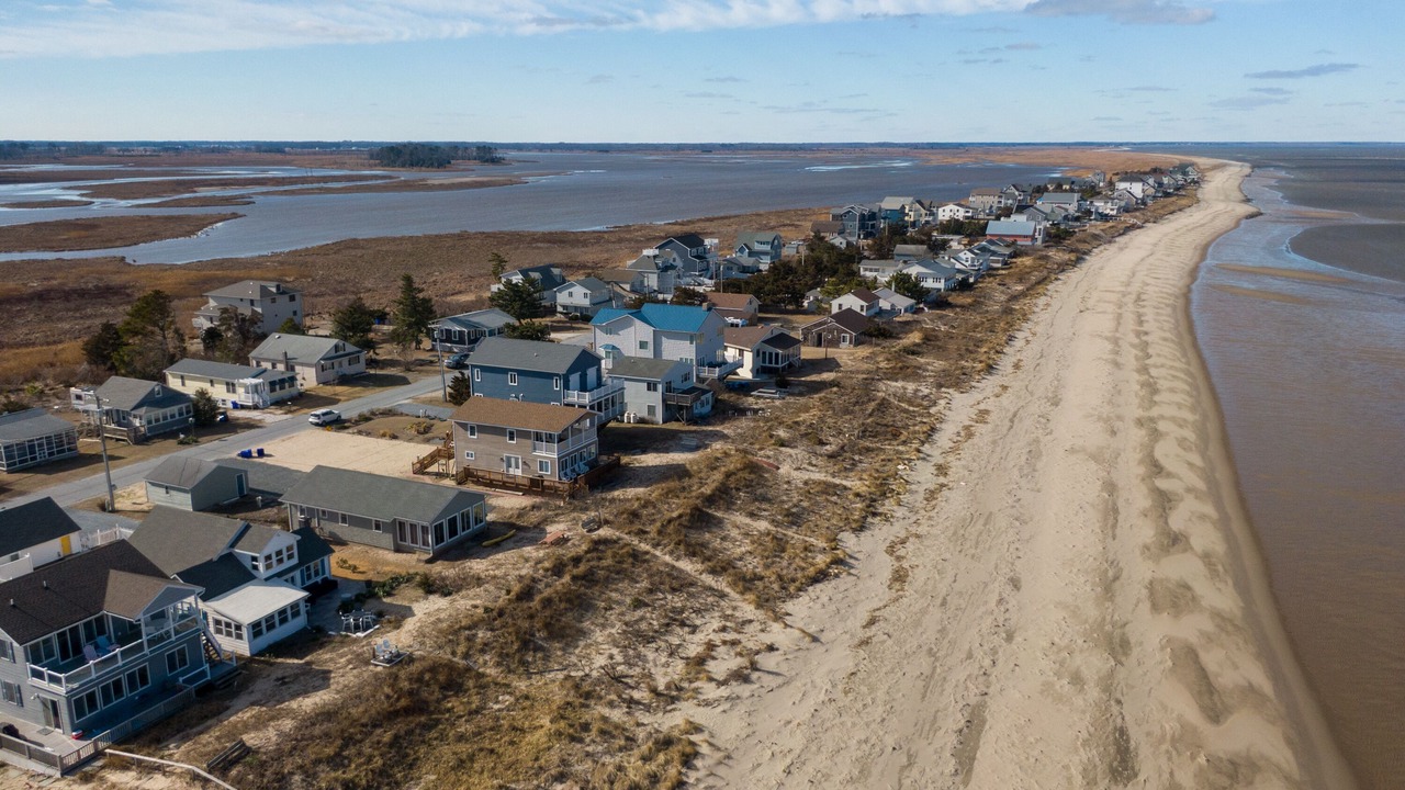 Photo of Others in Prime Hook Beach