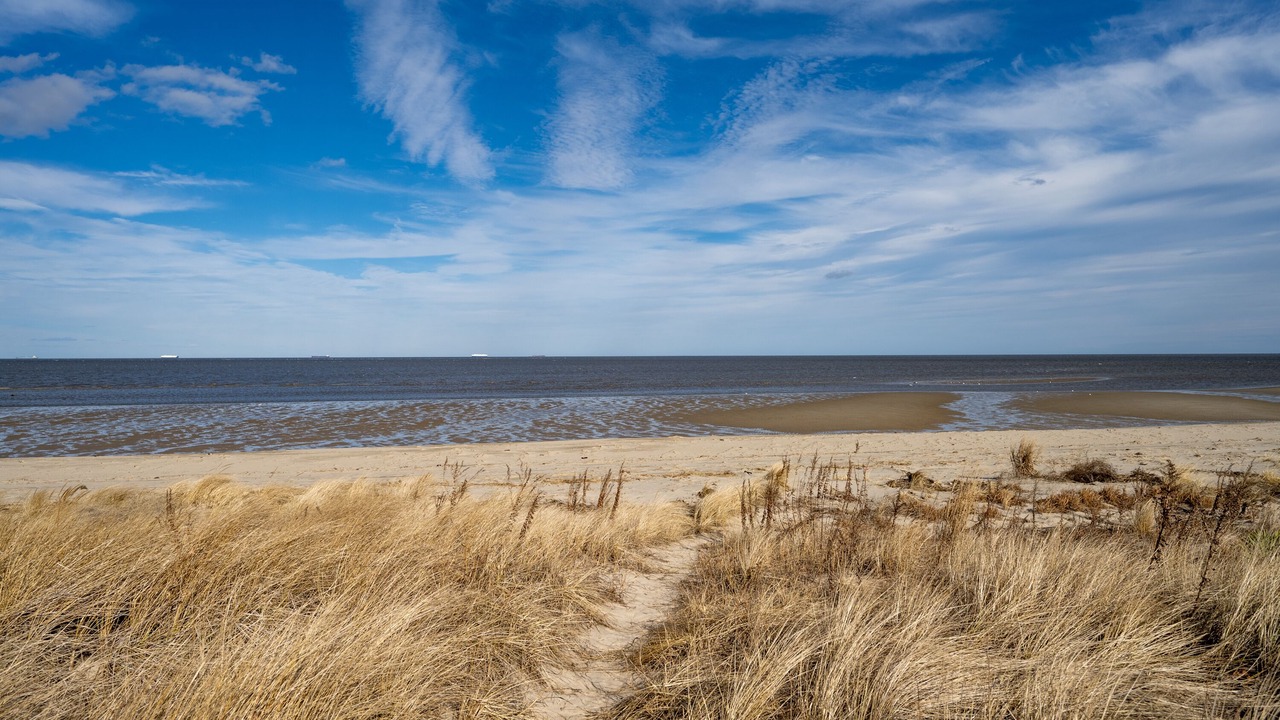 Photo of Others in Prime Hook Beach