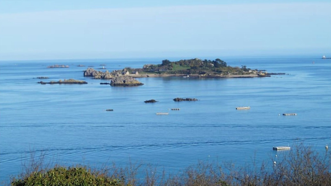 Photo of Others in Ploubazlanec