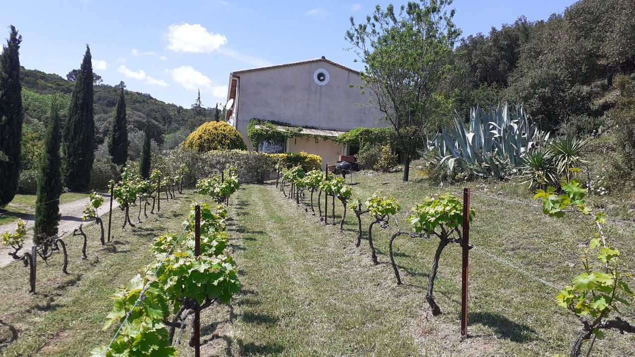 Photo of Outdoor in Faugeres