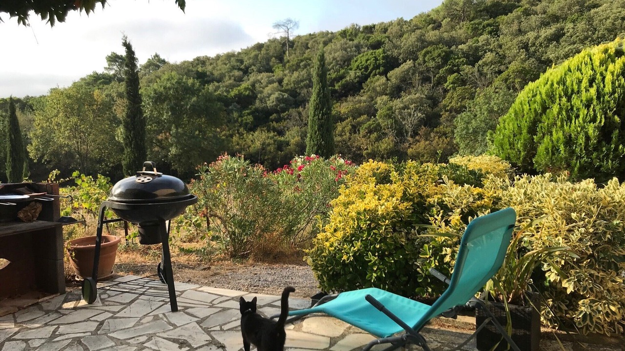 Photo of Outdoor in Faugeres