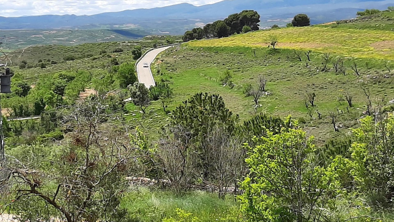 Photo of Outdoor in Borja