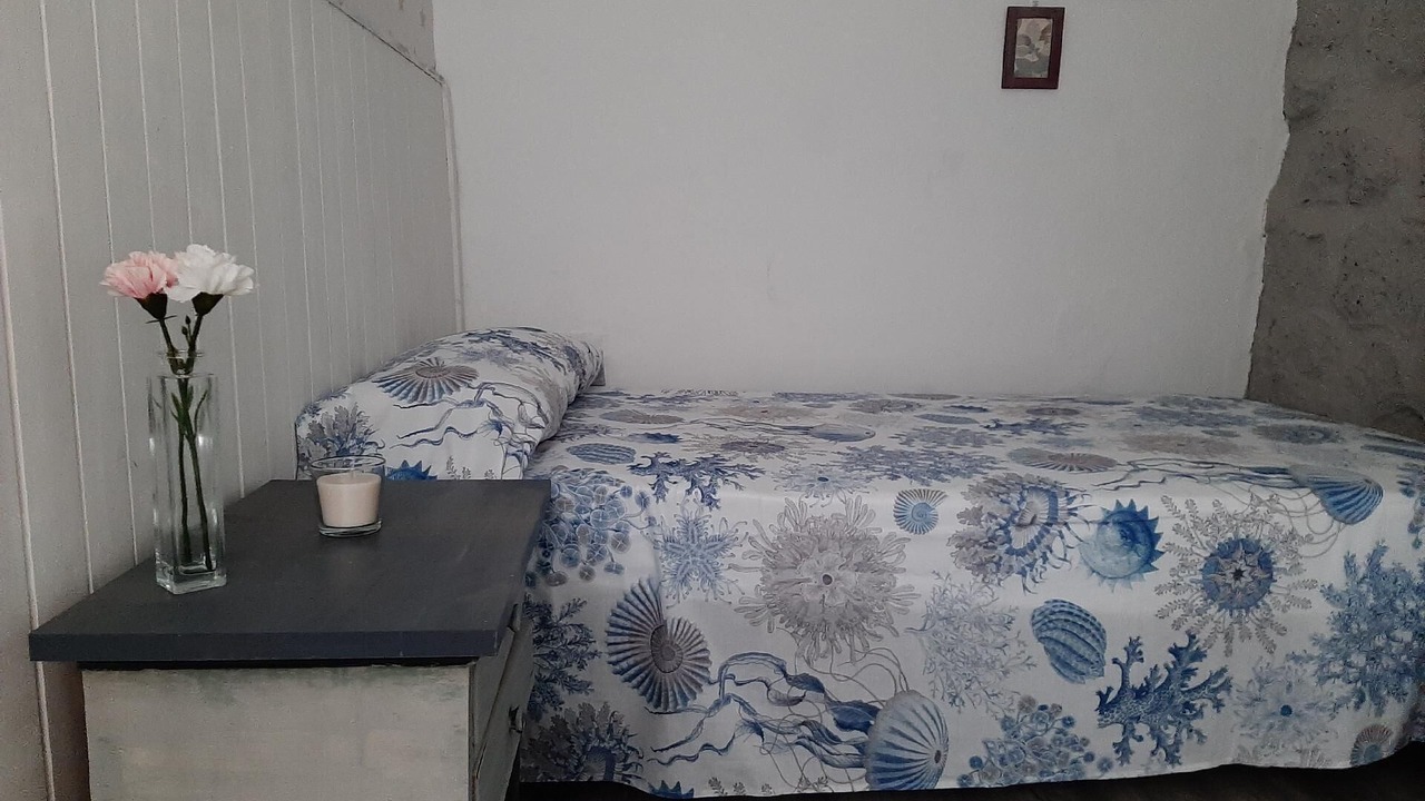 Photo of Bedroom in Borja