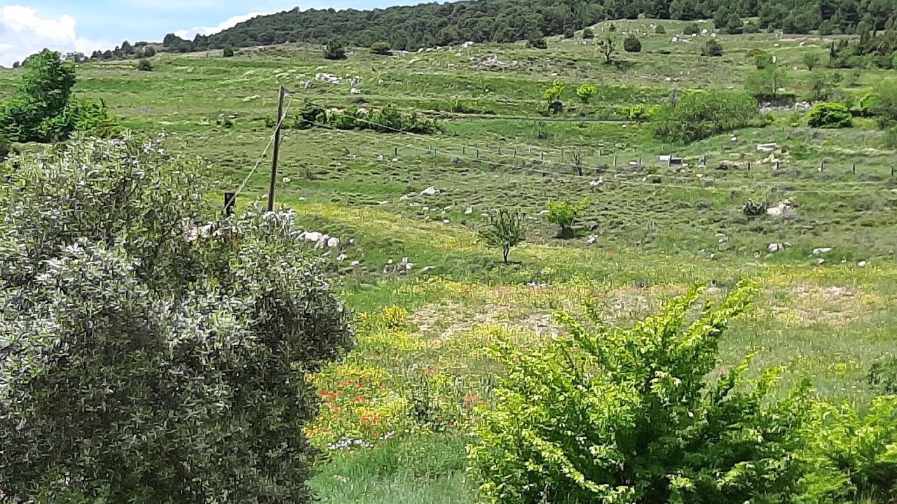 Photo of Outdoor in Borja
