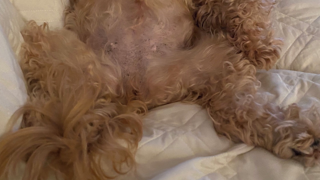 Photo of Others in Johnsonville