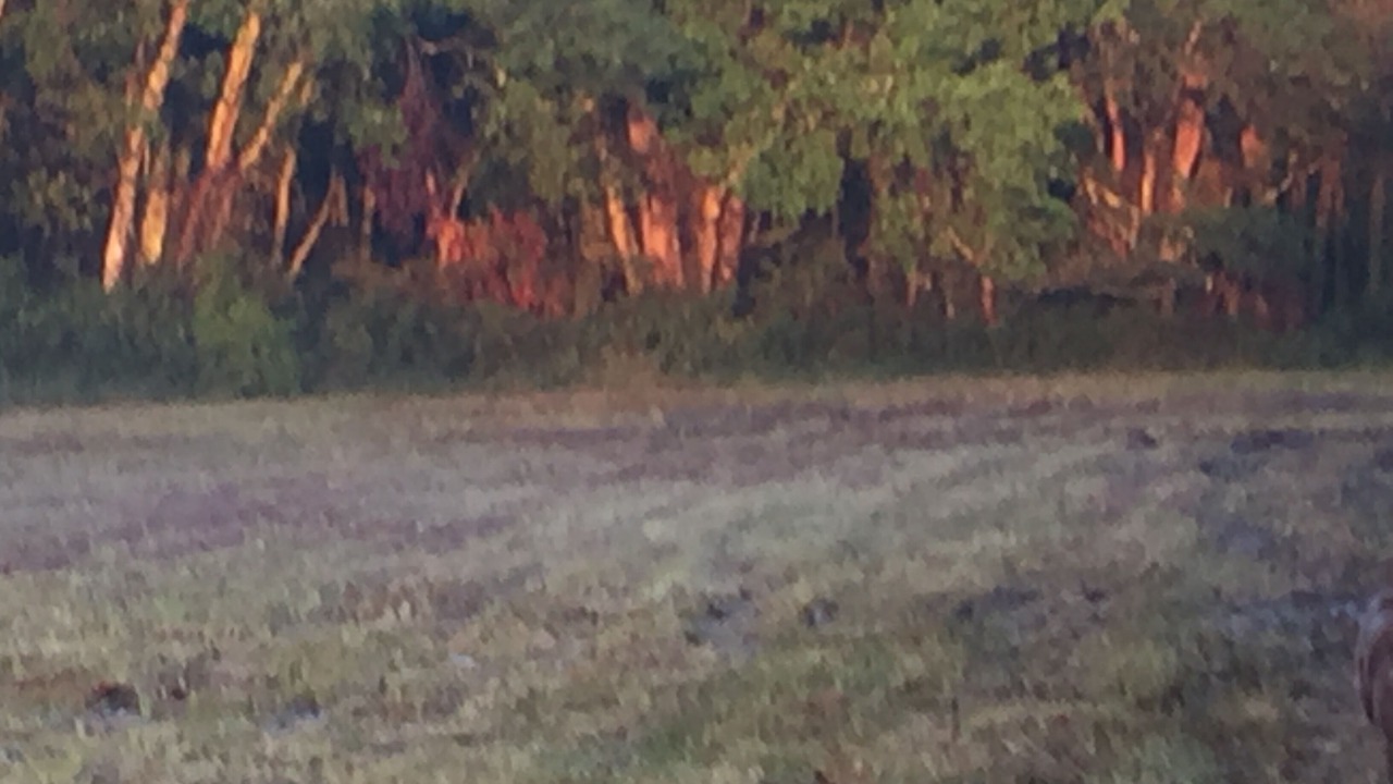 Photo of Outdoor in Woodland