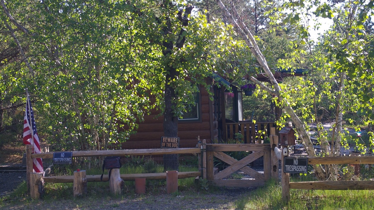 Photo of Outdoor in Woodland