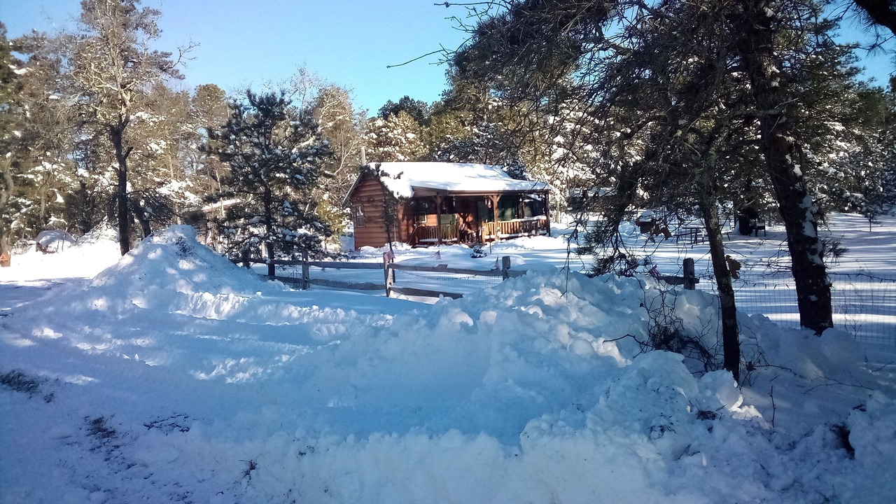 Photo of Outdoor in Woodland