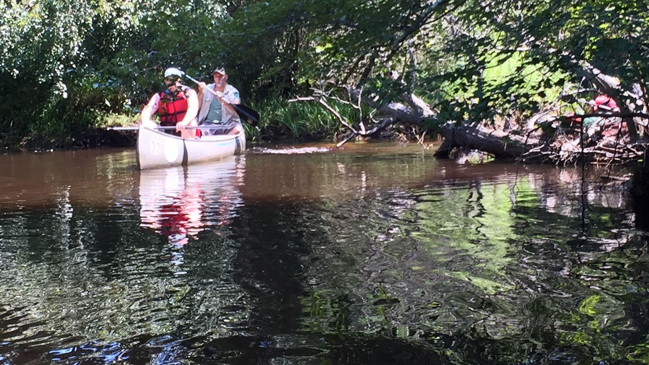 Photo of Outdoor in Woodland