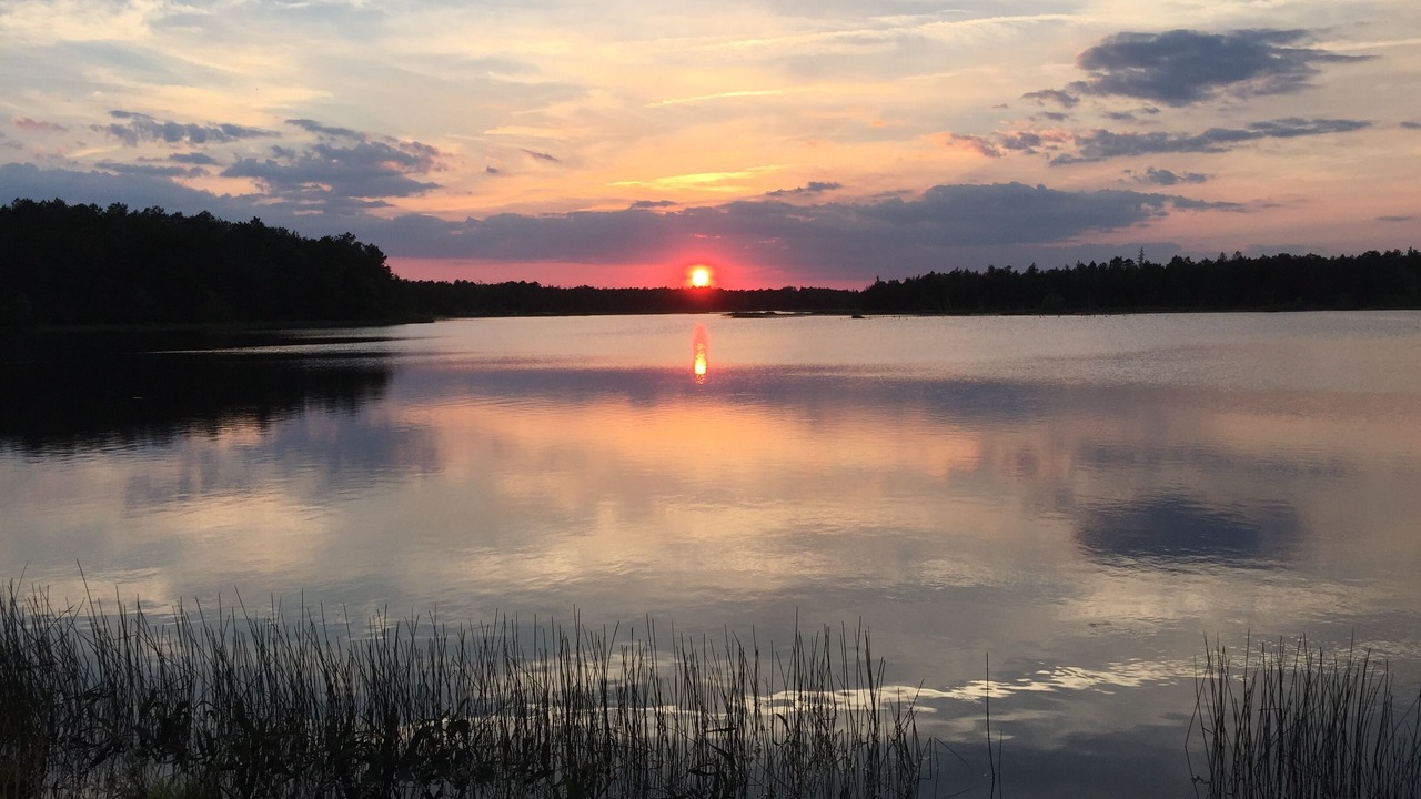 Photo of Others in Woodland