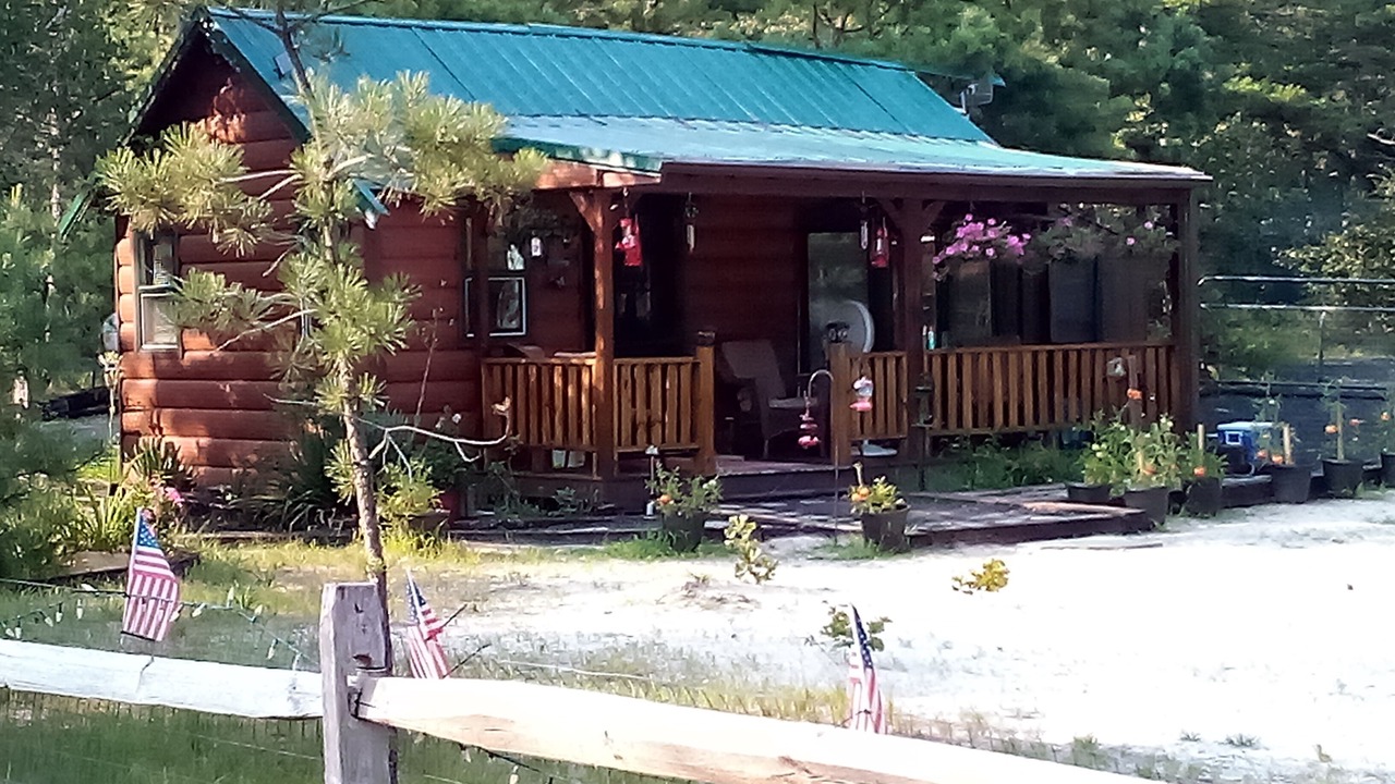 Photo of Others in Woodland