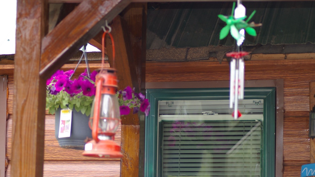 Photo of Outdoor in Woodland