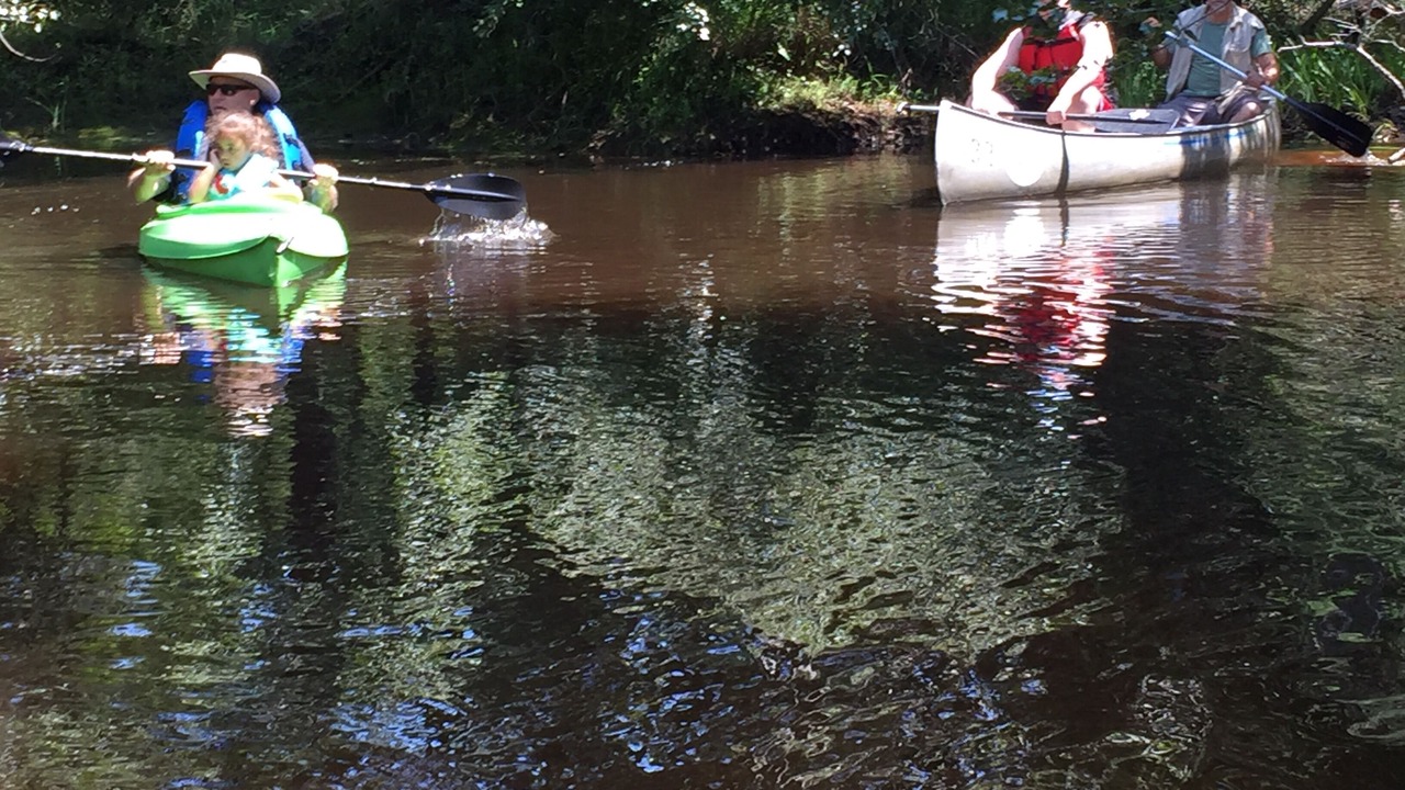 Photo of Others in Woodland