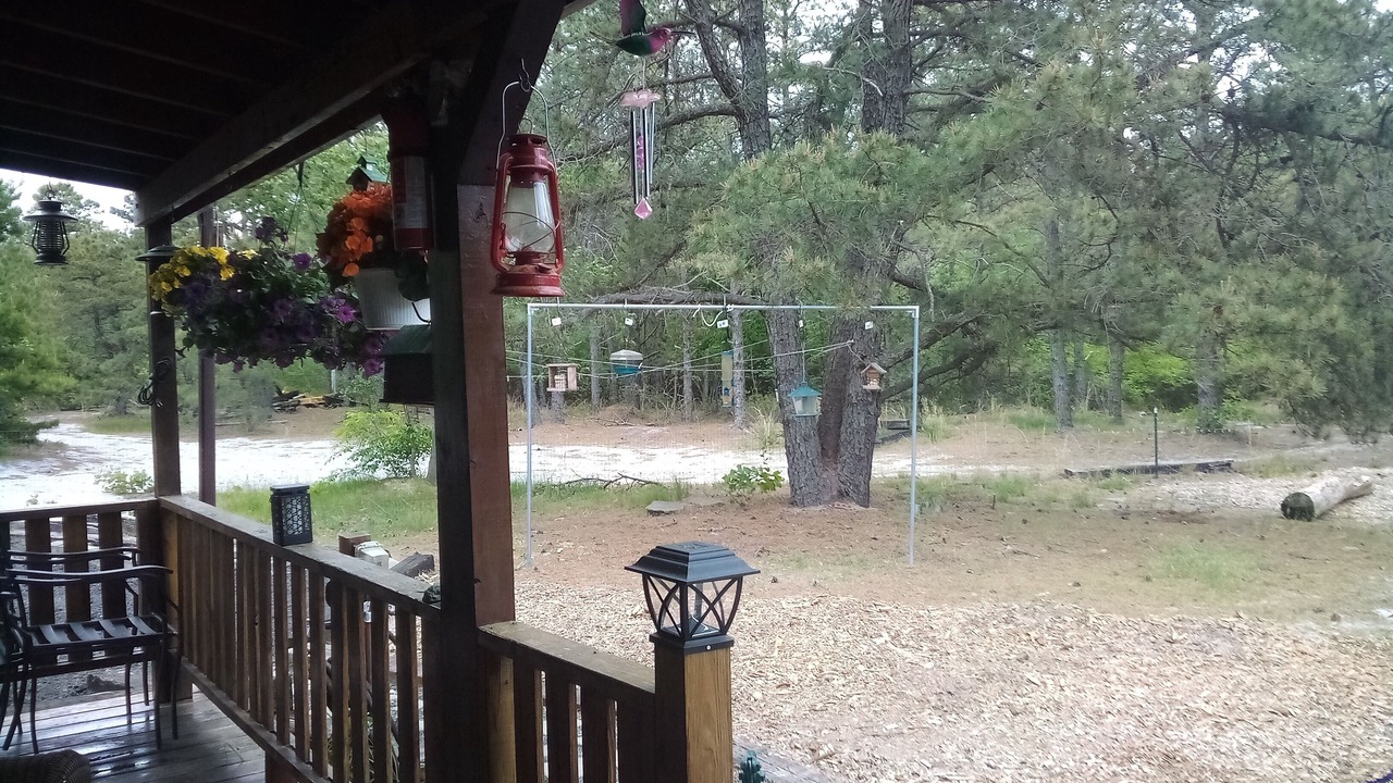 Photo of Outdoor in Woodland