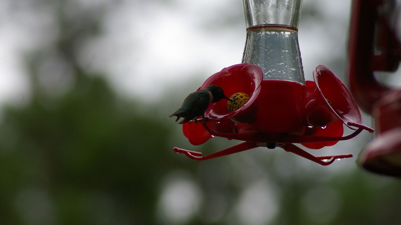 Photo of Others in Woodland