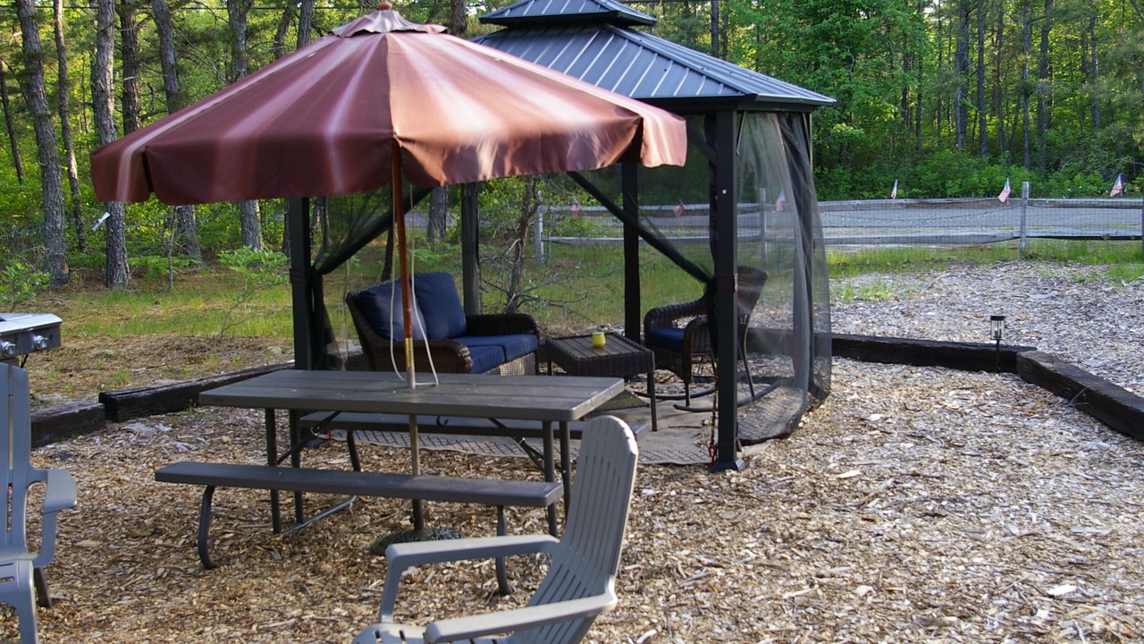 Photo of Outdoor in Woodland