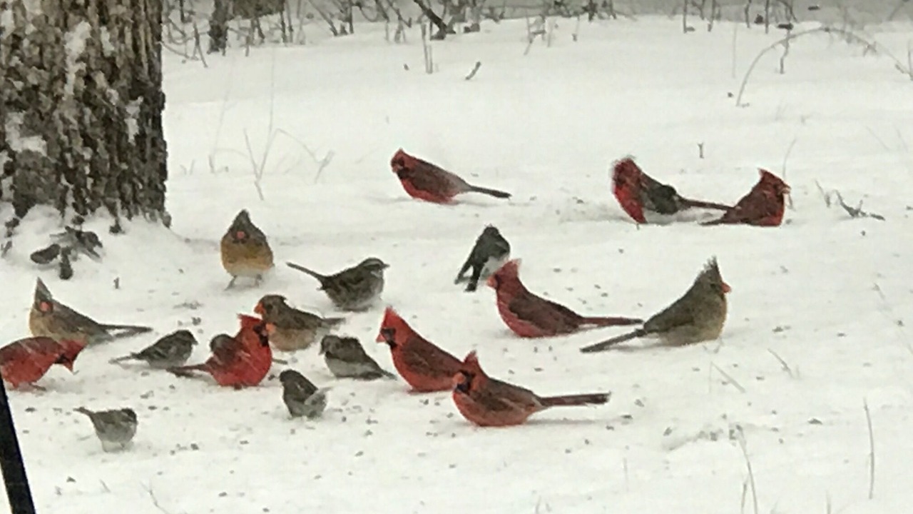 Photo of Others in Weatherford