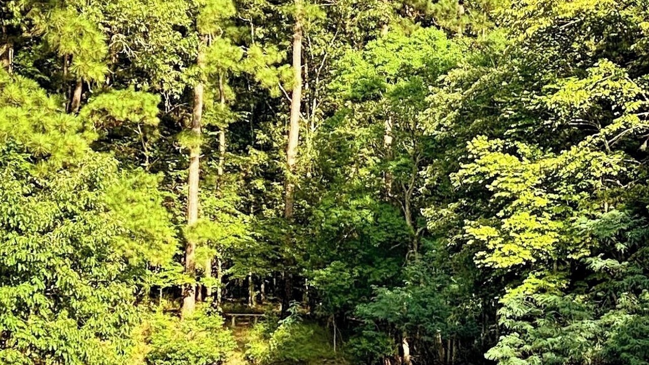 Photo of Others in Cape Royale