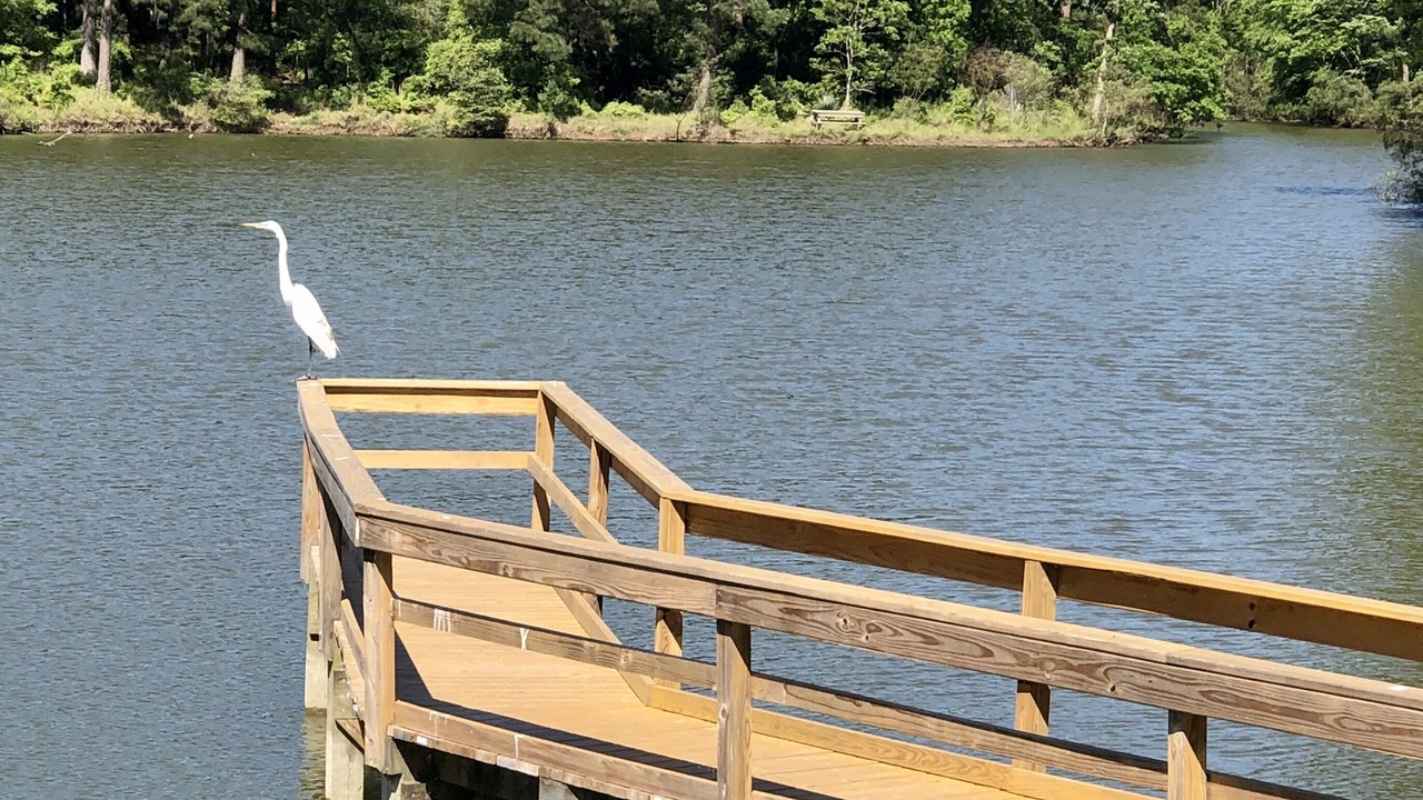 Photo of Outdoor in Cape Royale