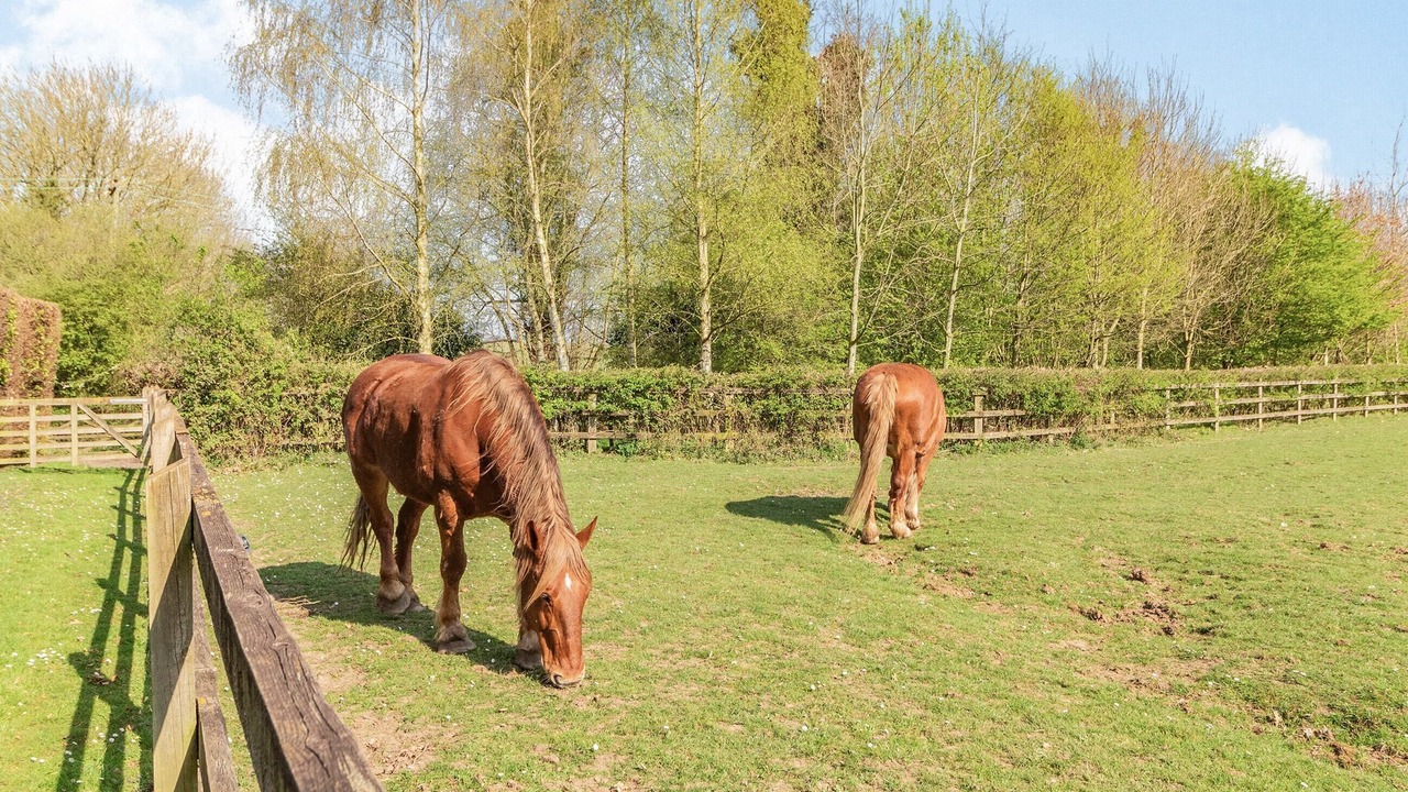 Photo of Others in Banham