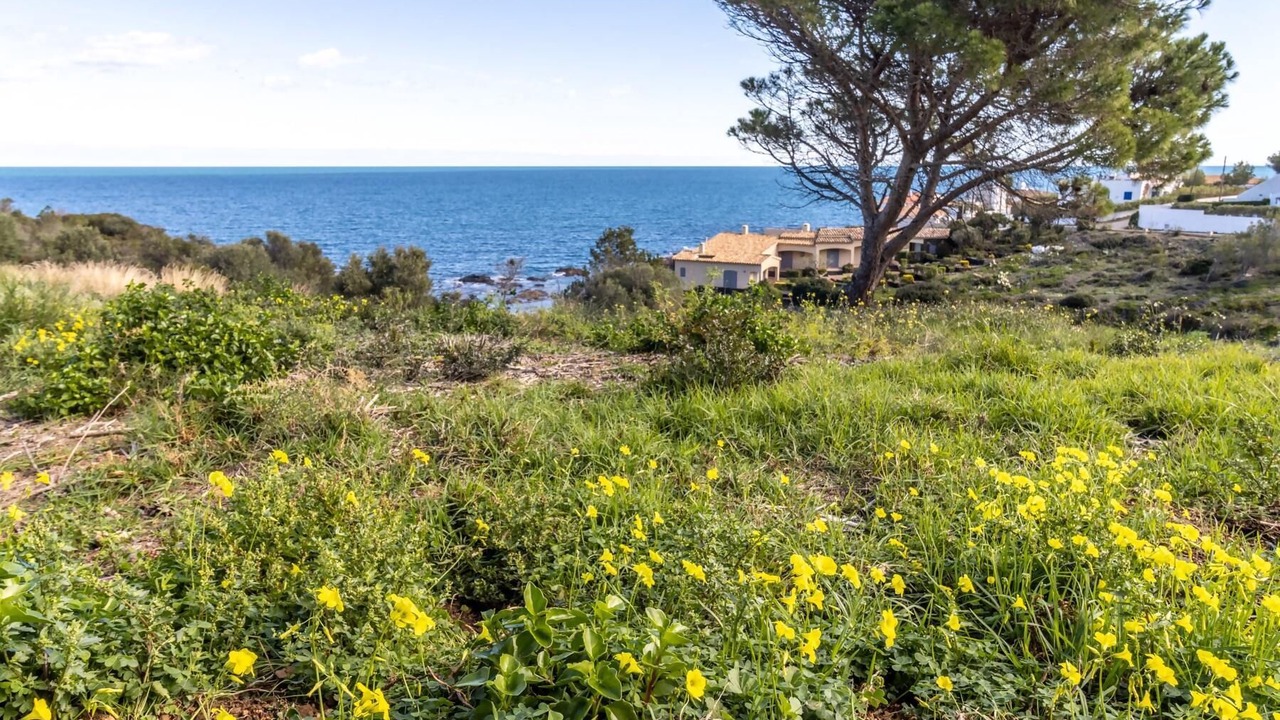 Photo of Outdoor in Port de la Selva