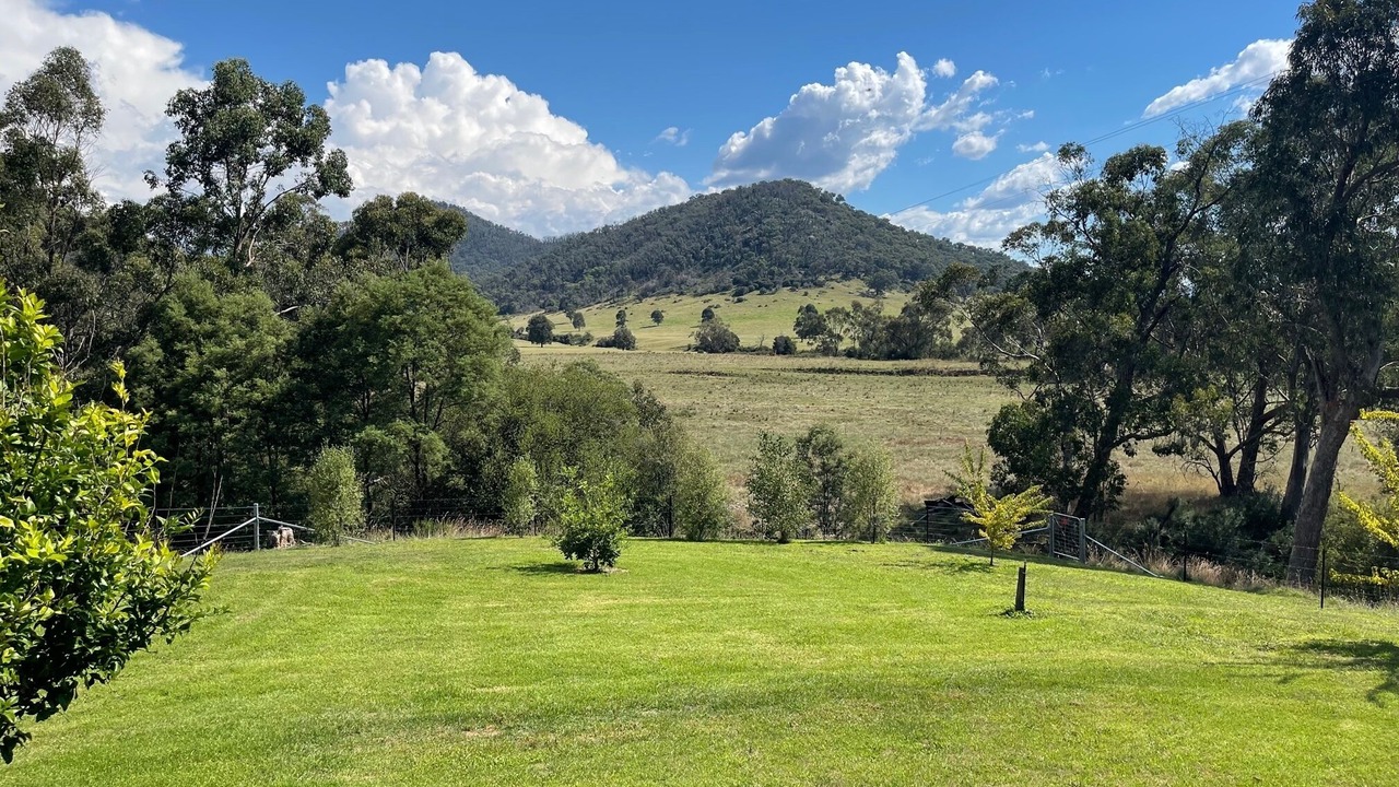 Photo of Others in Nug Nug