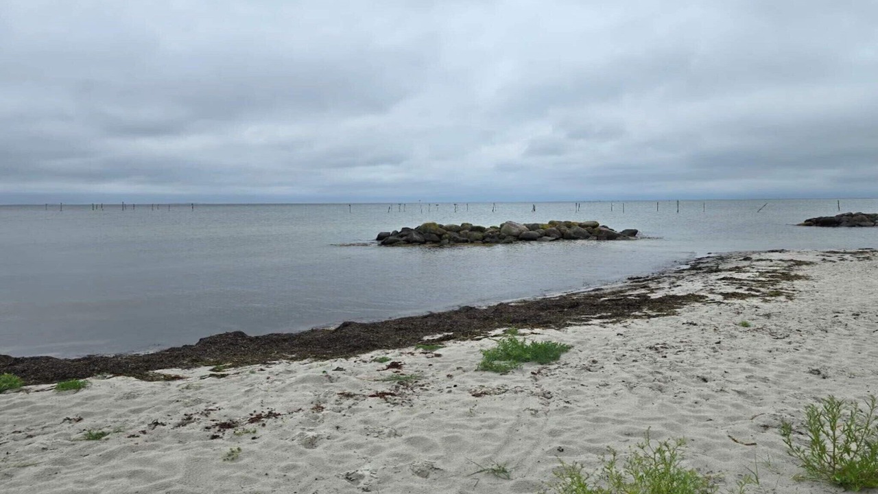 Photo of Others in Spodsbjerg