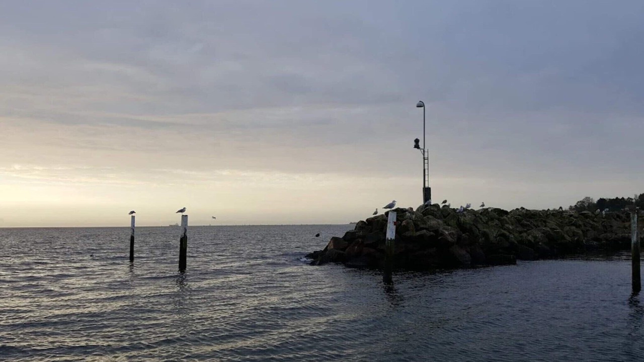 Photo of Others in Spodsbjerg