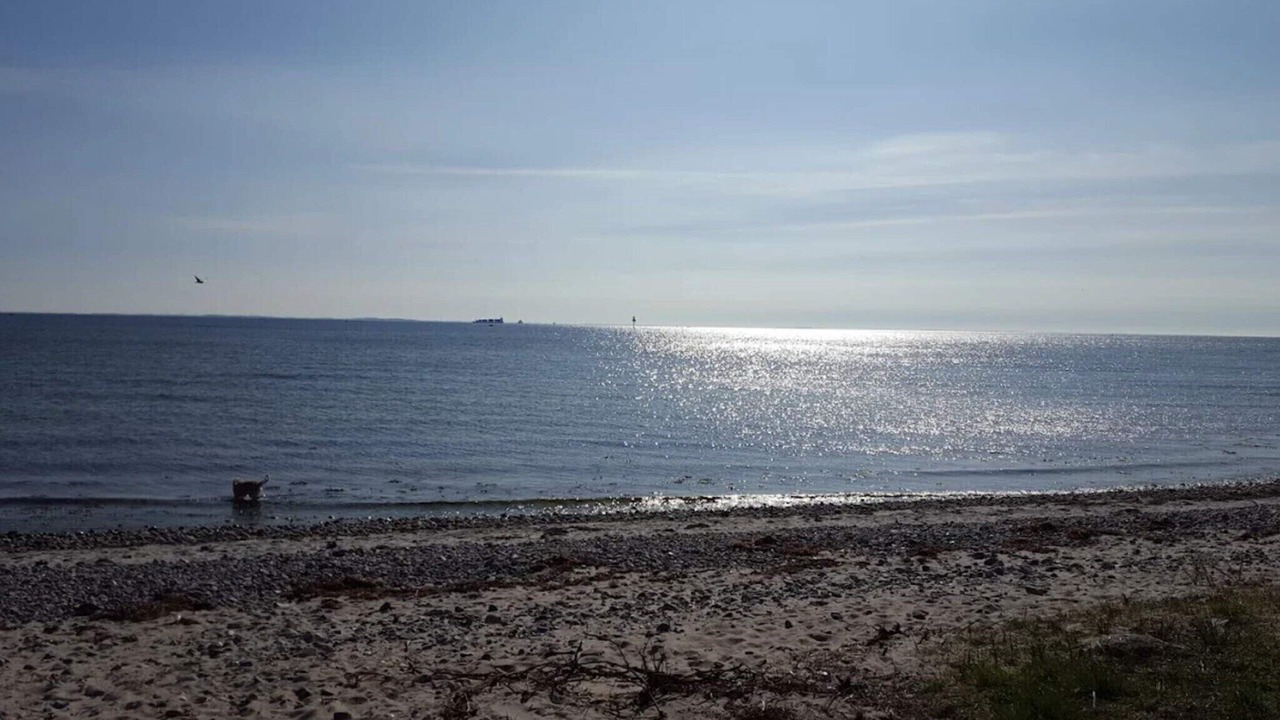 Photo of Others in Spodsbjerg