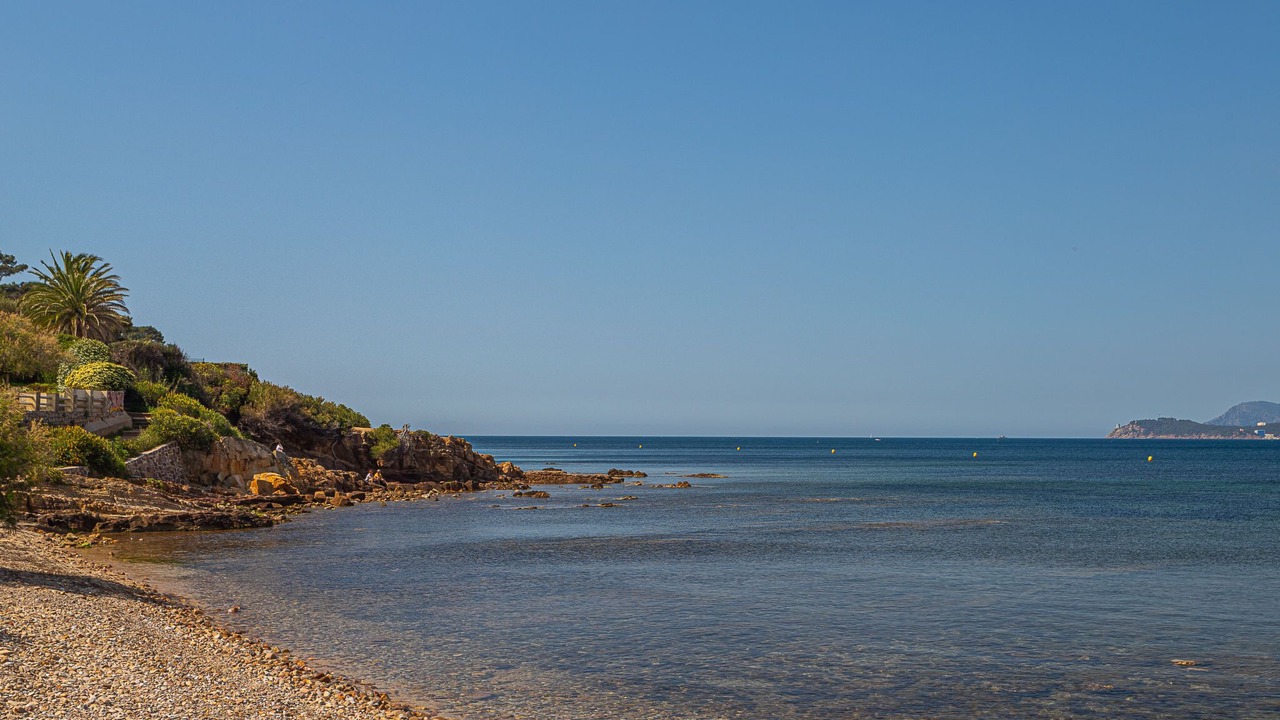 Photo of Others in Le Pradet