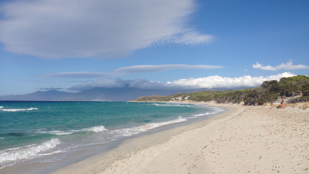 Photo of Others in Patrimonio