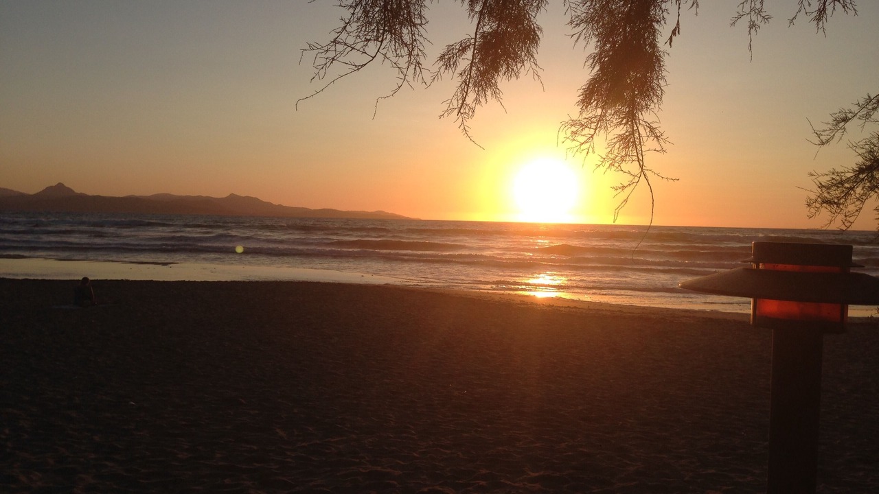 Photo of Others in Patrimonio