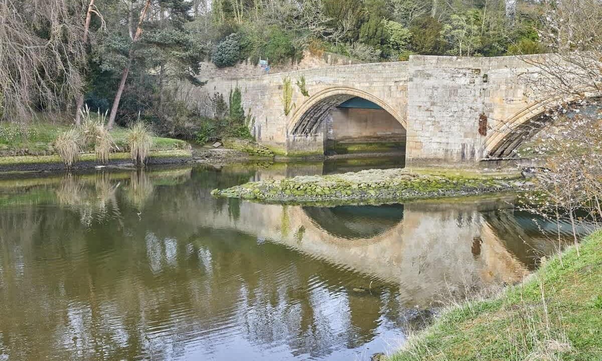 Photo of Others in Warkworth