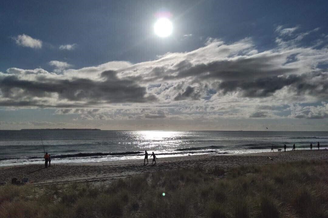 Photo of Others in Papamoa Beach